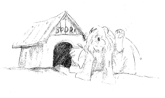 Bodri