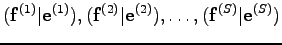 $\displaystyle ({\bf f}^{(1)}\vert{\bf e}^{(1)}),({\bf f}^{(2)}\vert{\bf e}^{(2)}),\ldots,({\bf f}^{(S)}\vert{\bf e}^{(S)})$