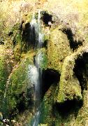 Waterfall in Beusnita's valley